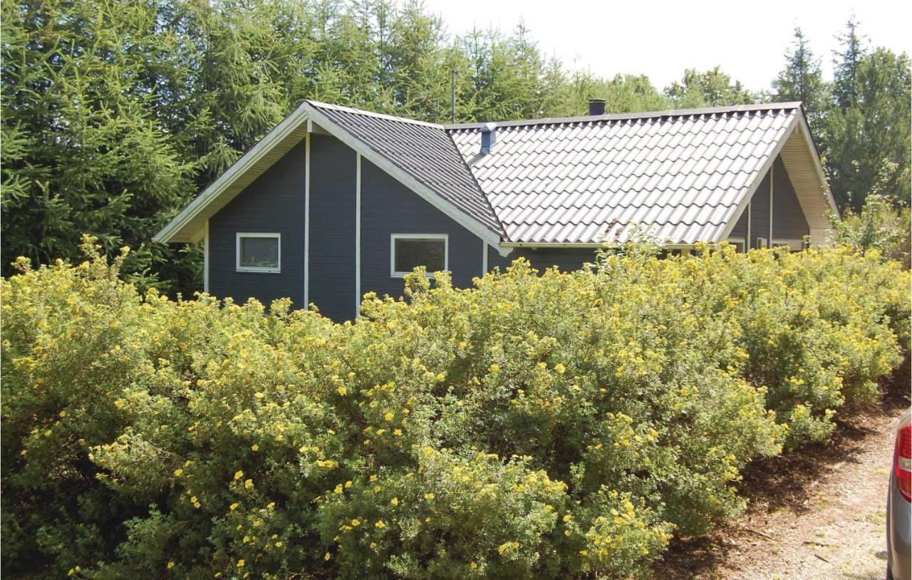 Pet Friendly Home In Oksbol With Wifi Экстерьер фото